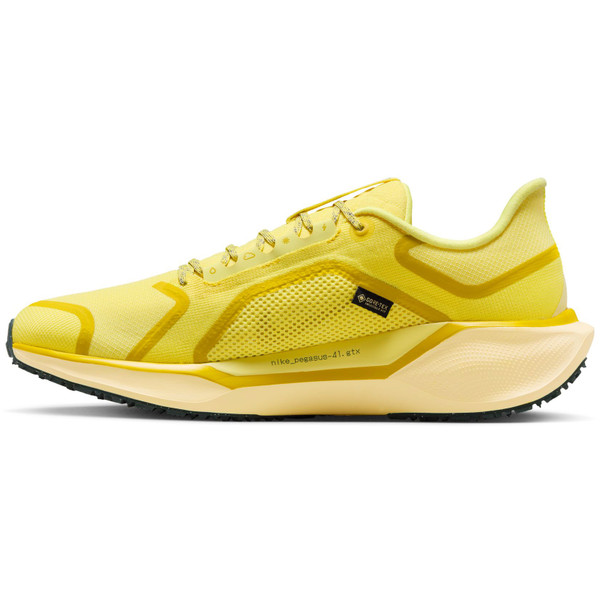 Nike Pegasus 41 GTX Herr