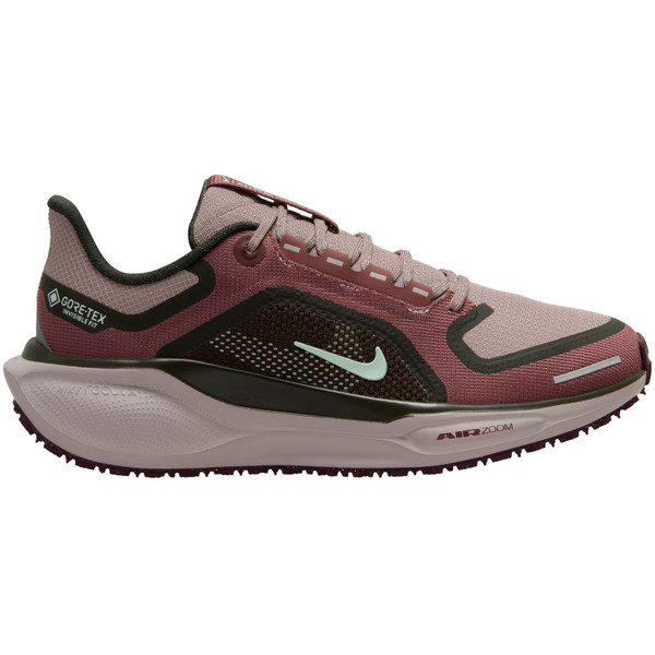 Nike Pegasus 41 GTX Dames