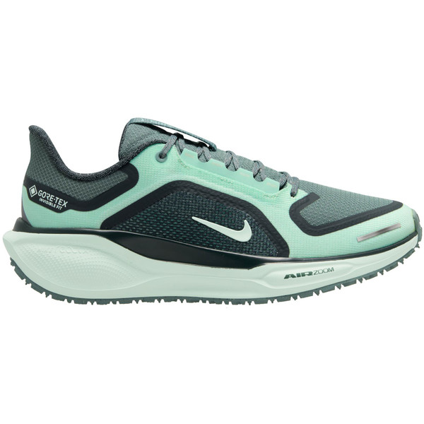 Nike Pegasus 41 GTX Dames
