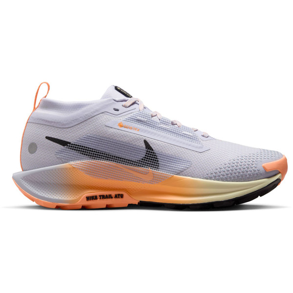 Nike Pegasus Trail 5 GTX Dames afbeelding
