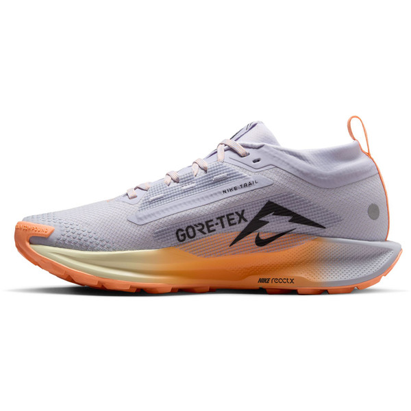 Nike Pegasus Trail 5 GTX Dam