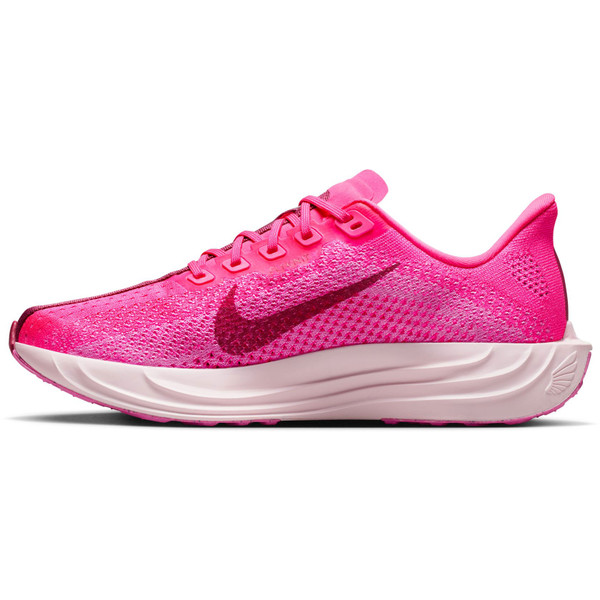 Nike Pegasus Plus Dam