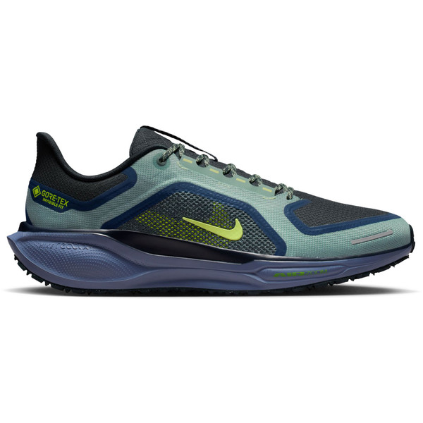 Nike Pegasus 41 GTX Heren