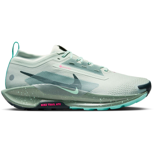 Nike Pegasus Trail 5 GTX Heren afbeelding