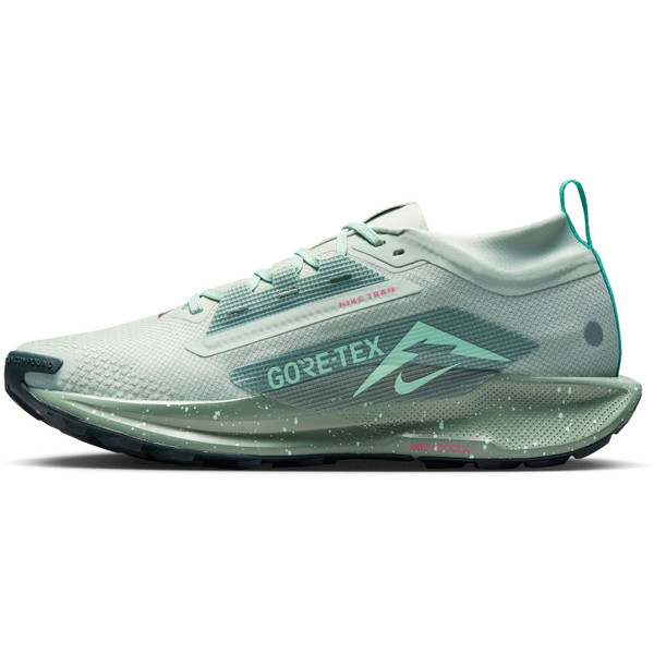 Nike Pegasus Trail 5 GTX Herr