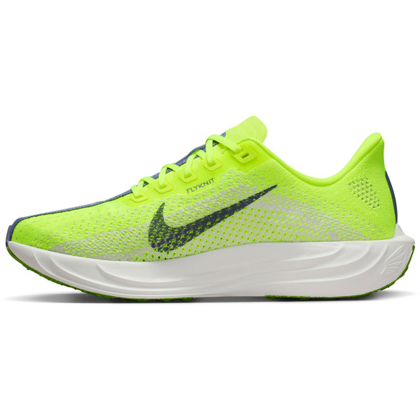 Nike Pegasus Plus Dam