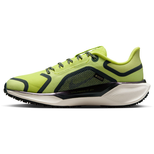 Nike Pegasus 41 GTX Dam