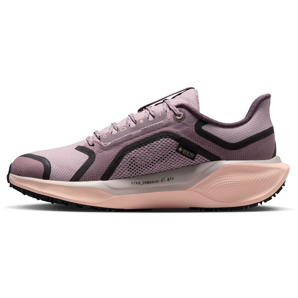 Nike Pegasus 41 GTX Dam