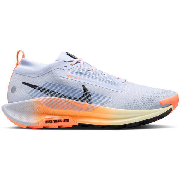 Nike Pegasus Trail 5 GTX Heren afbeelding