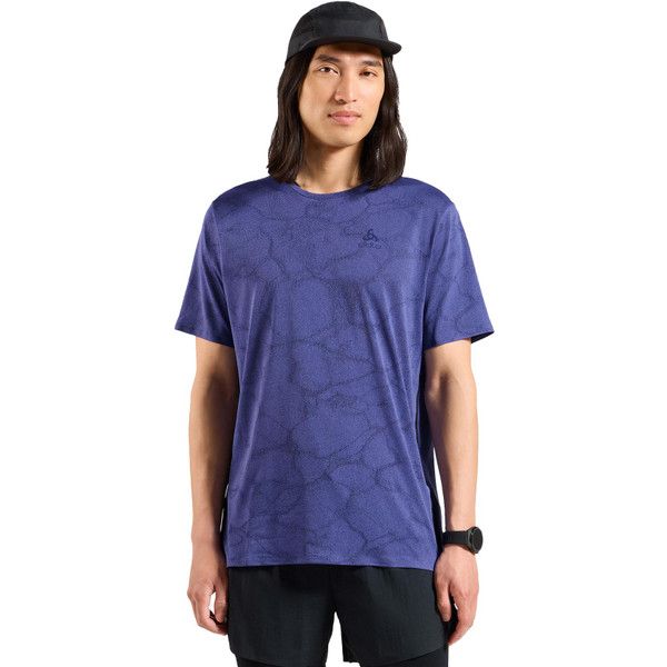 Odlo ZeroWeight Crew Neck Chilltec T-Shirt Heren afbeelding