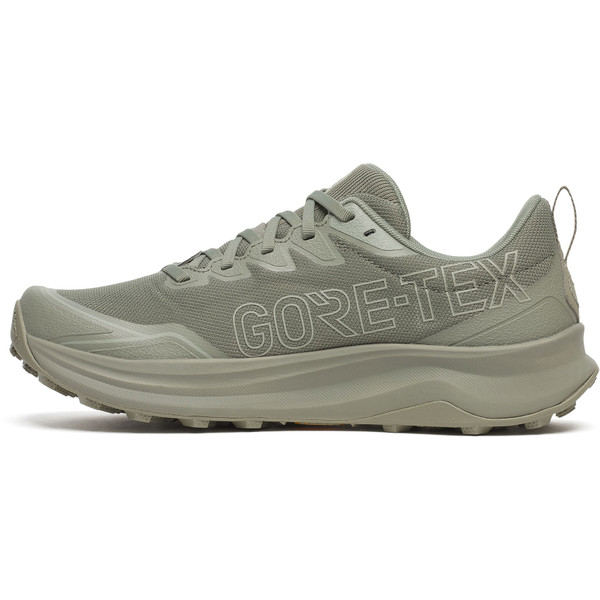 Saucony Peregrine 16 GTX Herr