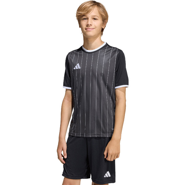 adidas Entrada 26 GFX Training Shirt Kids