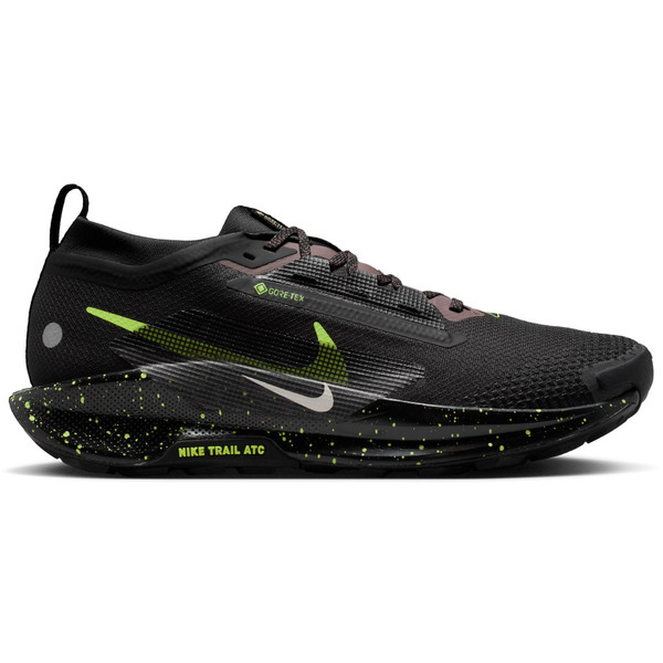 Nike Pegasus Trail 5 GTX Heren