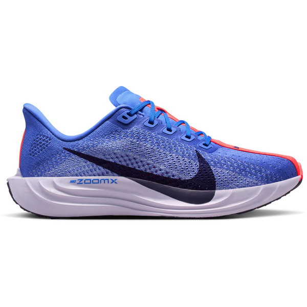 Nike Pegasus Plus Dam