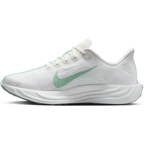 Nike Pegasus Plus Dam