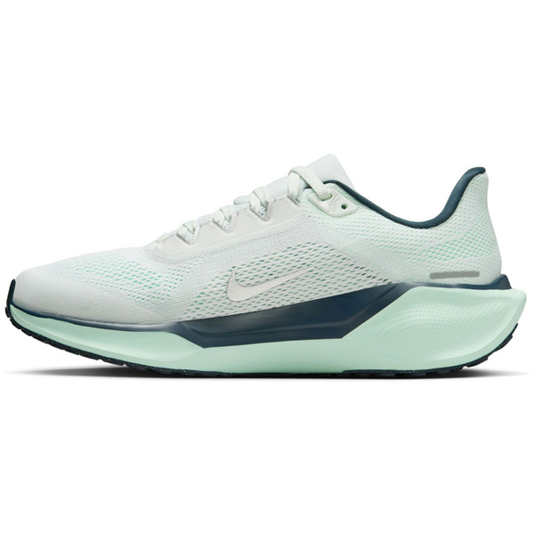 Nike Pegasus 41 Dam