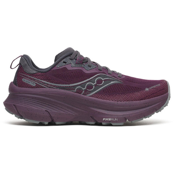 Saucony Guide 19 TR GTX Dam
