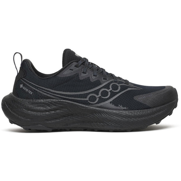 Saucony Ride TR 3 GTX Dam