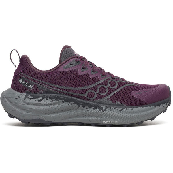 Saucony Ride TR 3 GTX Dam