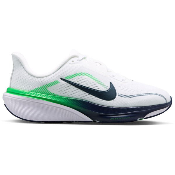 Nike Pegasus 42 Barn