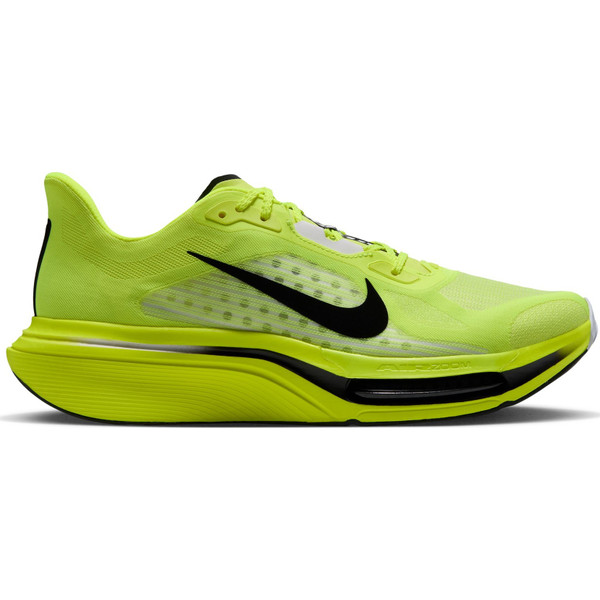 Nike Pegasus Plus 2 Herr
