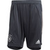 adidas Duitsland Training Short