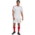 adidas Squadra Training Shirt