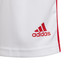 adidas Squadra Training Set Kids