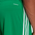 adidas Squadra Träningsset