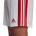 adidas Squadra Träningsshorts