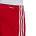 adidas Squadra Träningsshorts