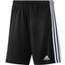 adidas Squadra Trainingsset