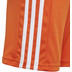 adidas Squadra Training Short Kids