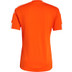 adidas Squadra Training Set