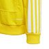 adidas Squadra Hoody Barn