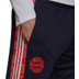 adidas Bayern München Europa Training Pant