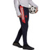 adidas Bayern München Europa Training Pant