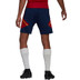 adidas Ajax Training Short 2022-2023
