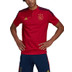 adidas Ajax Polo Set