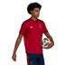 adidas Ajax Polo Set