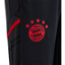 adidas Bayern München Trainingspak Kids