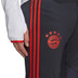 adidas Bayern München Pro Trainingspak