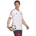 adidas Bayern München Tee 2022-2023