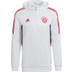 adidas Bayern München TK Hoody Trainingspak