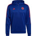 adidas Bayern München TK Hoody