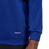adidas Bayern München TK Hoody