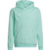 adidas Entrada 22 Hooded Sweat Trainingsanzug Kinder
