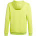adidas Entrada 22 Hooded Sweat Trainingspak Kids
