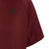 adidas Club Tee Jongens 2