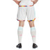 adidas Belgien Pre-Match Träningsset
